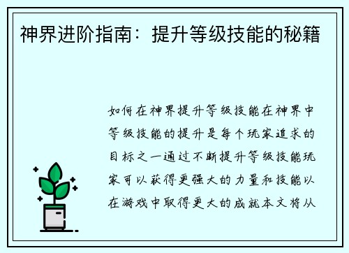 神界进阶指南：提升等级技能的秘籍